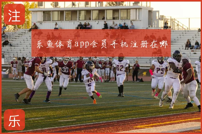 乐鱼体育app会员手机注册在哪