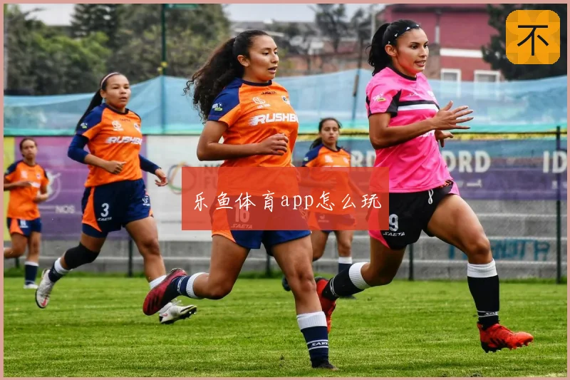 乐鱼体育app怎么玩